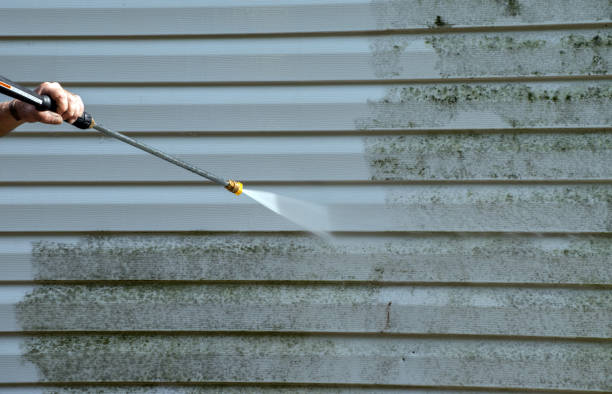 Best Building Exterior Washing  in Stevensville, MT